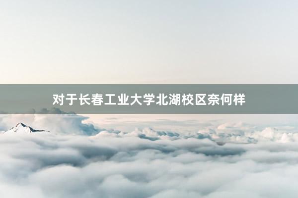 对于长春工业大学北湖校区奈何样