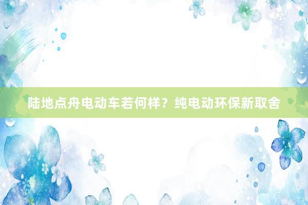 陆地点舟电动车若何样？纯电动环保新取舍